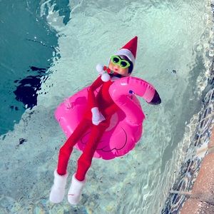 Meet your Posher, Flavia